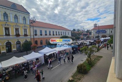De inchiriat spatiu comercial Sf. Gheorghe Bd. 1 Decembrie 1918 - 11