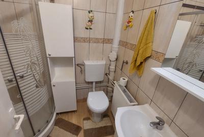 Apartament doua camere decomandat, Calea Bucuresti zona Ramada - 4
