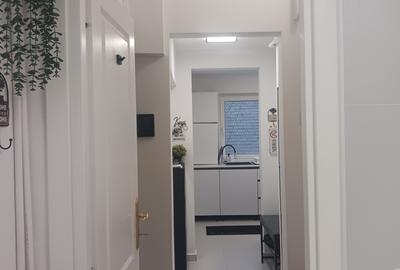 Apartament cu 2 camere semidecomandat, mobilat în Amzei - 9