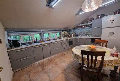 Vila Sararie cod 154486 tel 0731226666 Vila Sararie cod 154486 tel 0731226666 - 14