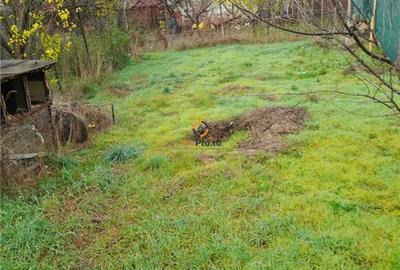 Casă individuală cu 6 camere cu Teren 500 Mp în Mehala - 9