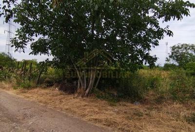 SFANTA AGNES-TEREN INTRAVILAN-559 MP SFANTA AGNES-TEREN INTRAVILAN-559 MP - 3