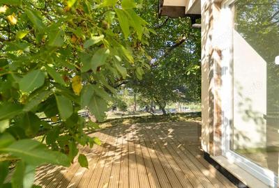 Casa de vacan?a din Tohani?a locul unde muntele intalne?te lini?tea - 2