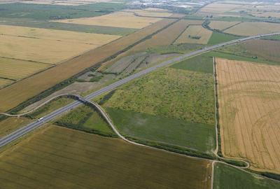 Teren 12 ha la Autostrada A1 cu PUZ aprobat Teren 12 ha la Autostrada A1 cu PUZ aprobat - 2
