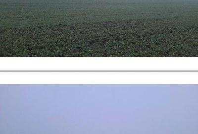 Teren de 4040 mp, în Troianul - 6
