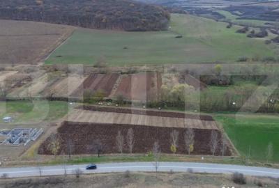 Teren de 2600 mp, în Central - 13