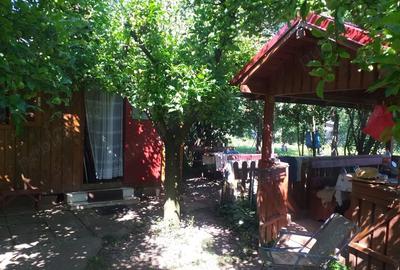 Teren Construcții intravilan de 1400 mp, în Micești - 6