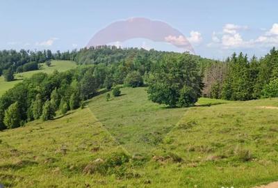Teren de 128948 mp, în Munteni - 1