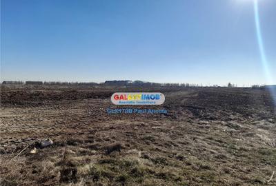 Teren Balotesti vecin gard Therme 13600 mp apropiere DN1 - 2