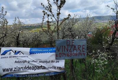 Teren de 1150 mp, în Bârnova - 2