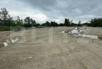 Teren Construcții intravilan de 62725 mp, în Craiovița Nouă - 3