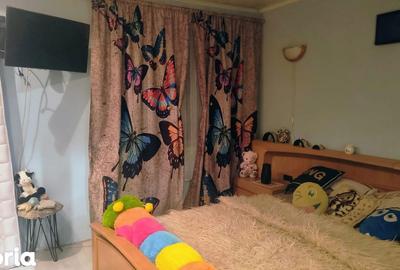 Casă cu 3 camere cu Teren 3200 Mp în Păuliș - 15