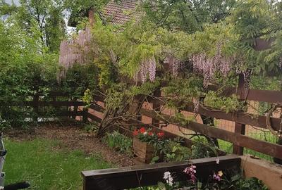 De inchiriat! Casa deosebita in Gruia, panorama spectaculoasa! - 11