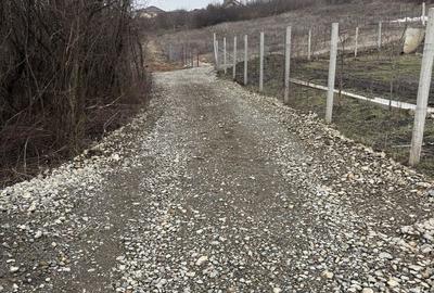 Teren de 1148 mp, în Borhanci - 2