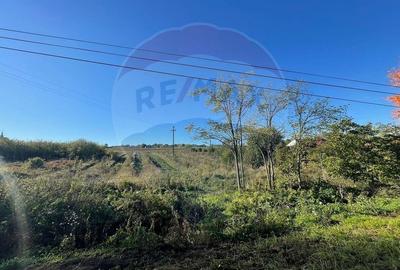 Teren Construcții intravilan de 2341 mp, în Uileacu de Munte - 3