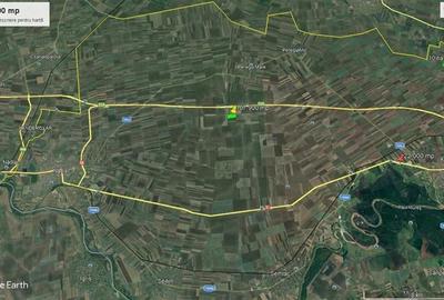 Teren agricol 10 ha, Peregul Mare, langa autostrada - 3