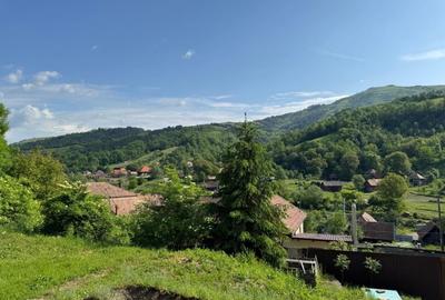 Casa de vanzare, 5 cam., 200 mp. + 5000 mp. teren, Valea Ariesului - 6