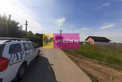 Teren construcție casă - 1 Decembrie - Zona Metropolitană București Teren construcție casă - 1 Decembrie - Zona Metropolitană București - 26