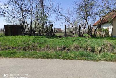 Teren de 1745 mp, în Ianova - 6