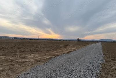 Teren de 1350 mp, în Tâmpa - 3