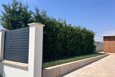 Casă individuală cu 5 camere cu Teren 1120 Mp în Aeroport - 3