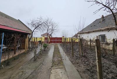 Casă individuală, cu 3 camere, în localitatea Ivanda, la 30 km de Timișoara - 18