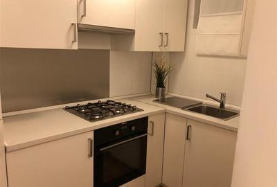 Apartament cu 2 camere semidecomandat, mobilat în Sala Palatului - 7