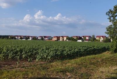 SE VINDE TEREN 5000 MP INTRAVILAN, MIXT CU DESCHIDERE LA DJ101 DE 42m