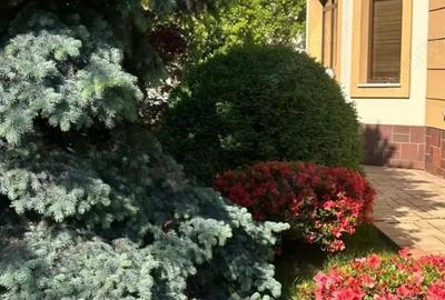 Vand vila strada Trivale, Pitesti, Arges - 6