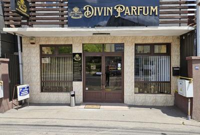 Inchiriere spatiu comercial, Bulevardul N. Balcescu, stradal - 10