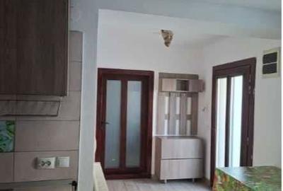 Casă cu 2 camere în Turnișor - 3