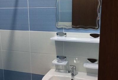 Teren 570 mp + constructie  locuibila + hala-Giulesti-Podul Grant - 14