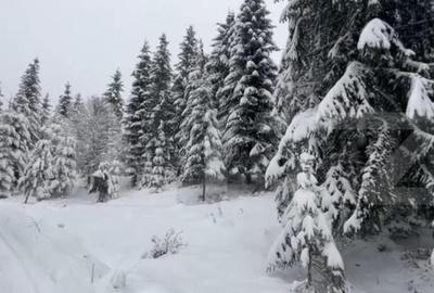 Teren de 1075 mp, în Colibița - 2