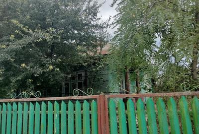 Casă cu Teren 2538 Mp în Smirna - 1