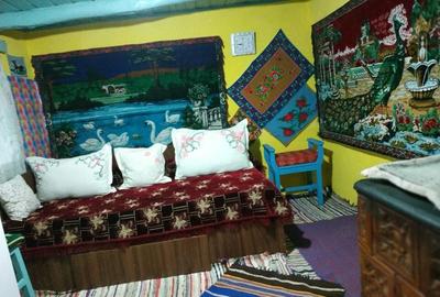 Casă cu 5 camere cu Teren 1551 Mp în Albești - 6