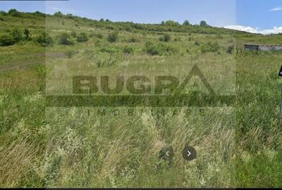 Teren intravilan, 742 mp, Chinteni - 2