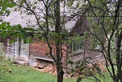 Casă cu 3 camere cu Teren 5800 Mp în Albac - 4