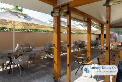 Spațiu comercial, de 195 mp, în Budureasa - 6