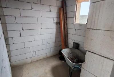 Casa Malu Mare - Capsunarie - Damila - 8