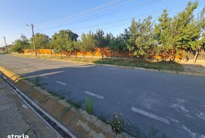 Casă cu 3 camere cu Teren 3200 Mp în Ceamurlia de Jos - 6