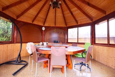 Casă cu 6 camere cu Teren 10331 Mp în Sohodol - 27