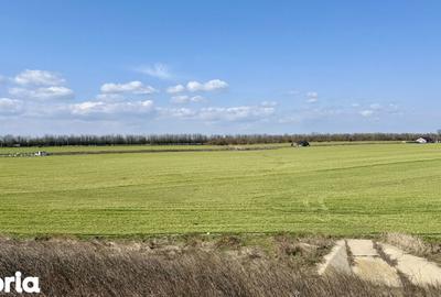 Teren de 444 mp, în Central - 3