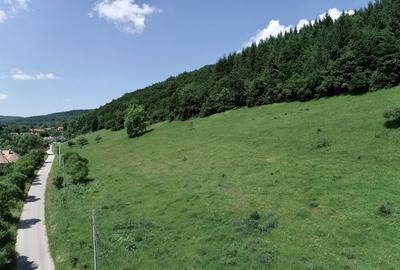 Teren de 8000 mp, în Micești - 3
