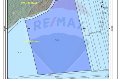 Teren agricol extravilan de 76400 mp, în Mătăsaru - 2