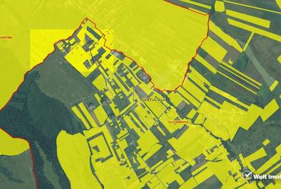 Teren Valea Chintaului, 500 mp, extravilan, investitie de viitor - 3