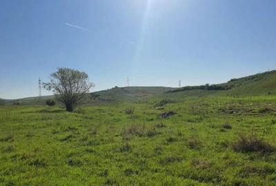 Cota de 1/2 din teren extravilan, comuna Rogova, Jud Mehe... Cota de 1/2 din teren extravilan, comuna Rogova, Jud Mehe... - 2