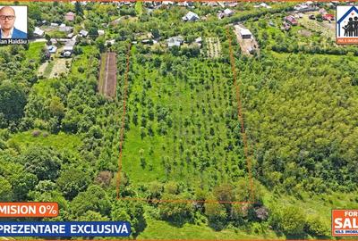 Casă individuală cu 4 camere cu Teren 10000 Mp în Podenii Vechi - 12