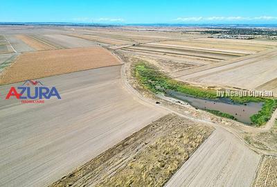 Teren agricol, 5HA, comasat, drum acces, Cateasca - 5