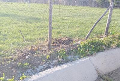 Teren de 7700 mp, în Dumbrăveni - 3