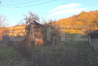 Teren de 3484 mp, în Viforâta - 5